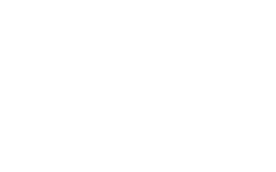 Festo_logo_white