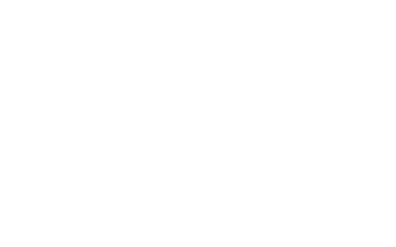 Neilpryde_Logotype_0101_white