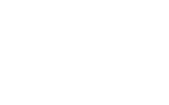 phoenix_logo_white_0101